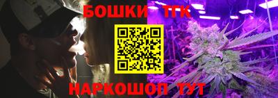 шишки Ставрополь