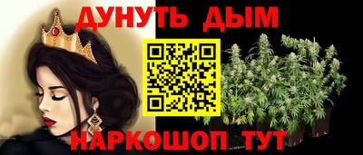 шишки Ставрополь