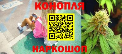 шишки Ставрополь