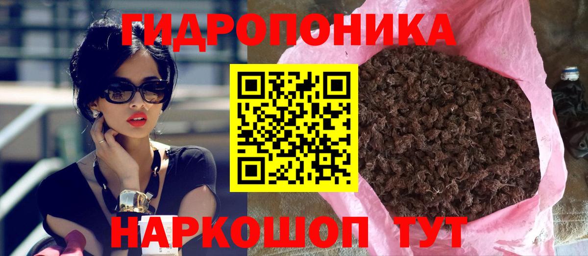 Псилоцибиновые грибы Нововоронеж